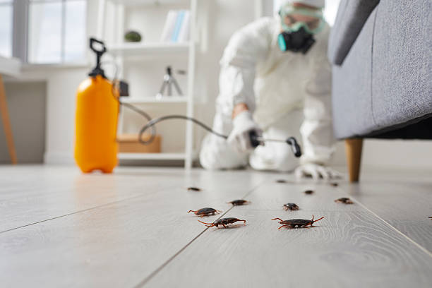 Trusted Rodent Control service in Kotzebue, AK - Nex Pest Control