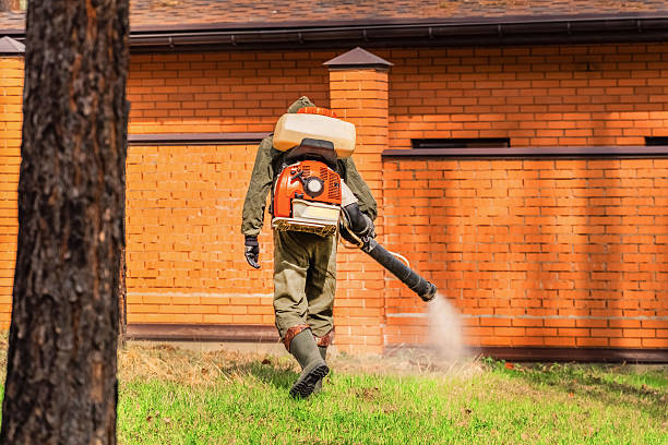 Trusted Bed Bug Control service in Kotzebue, AK - Nex Pest Control